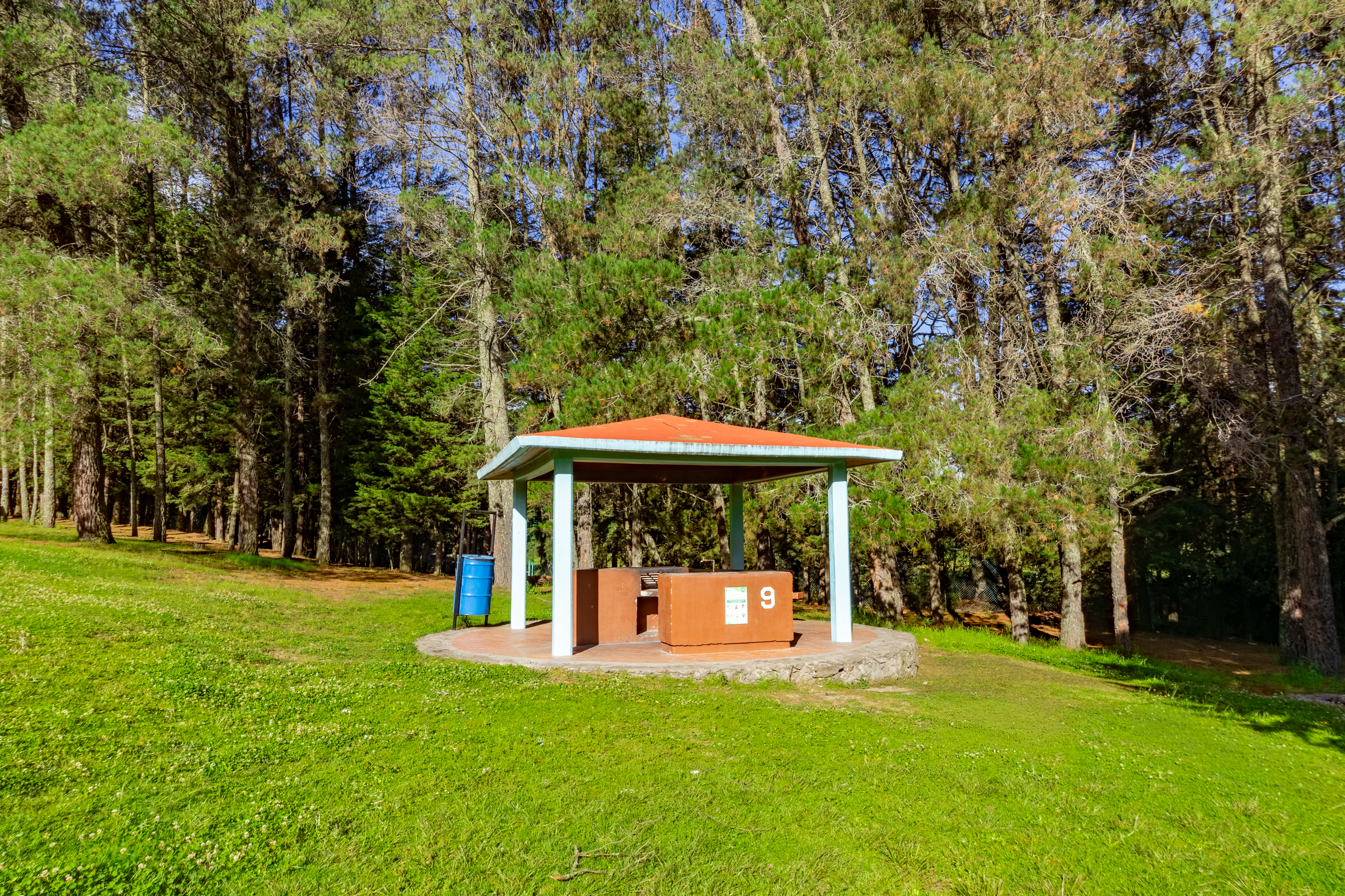 Zona de campamento del Centro Vacacional Malintzi